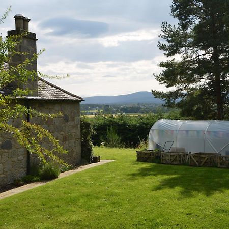 Amazing Cottage With Private Indoor Swim Pool And Hot Tub Grantown-on-Spey Esterno foto