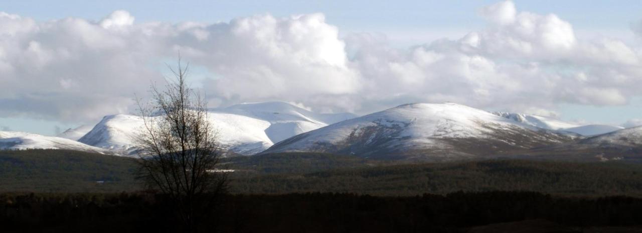 Amazing Cottage With Private Indoor Swim Pool And Hot Tub Grantown-on-Spey Esterno foto