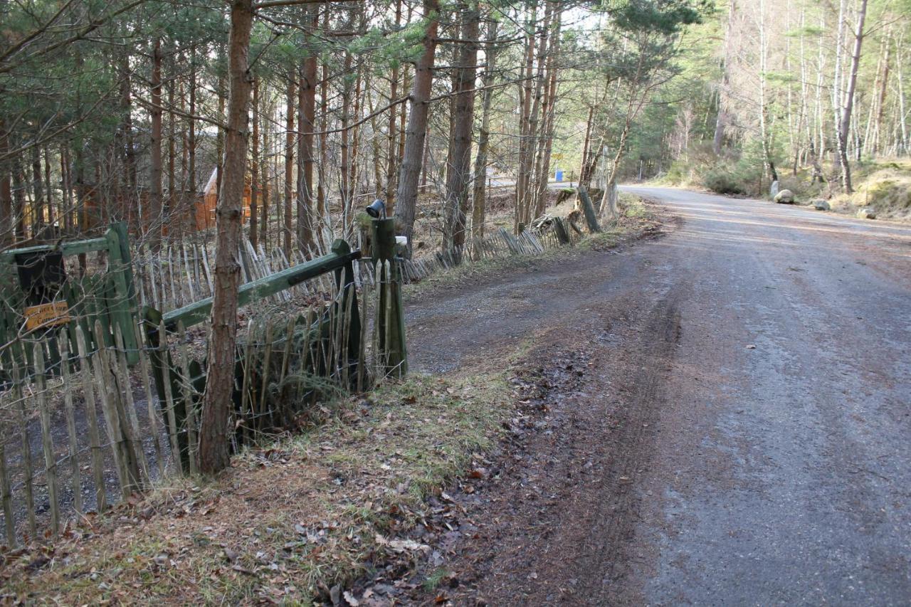 Amazing Cottage With Private Indoor Swim Pool And Hot Tub Grantown-on-Spey Esterno foto