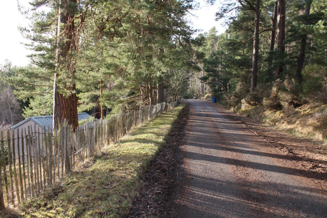 Amazing Cottage With Private Indoor Swim Pool And Hot Tub Grantown-on-Spey Esterno foto