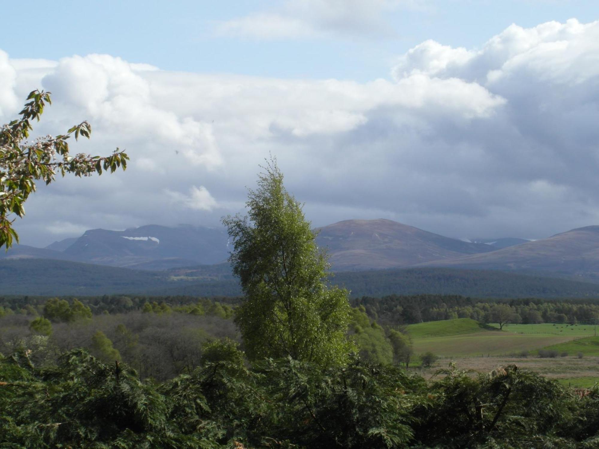 Amazing Cottage With Private Indoor Swim Pool And Hot Tub Grantown-on-Spey Esterno foto
